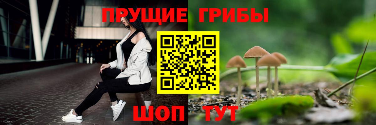 Волгоград  Галлюциногенные грибы мухоморы  купить наркотики сайты  Вход с VPN 